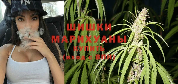 тгк Белокуриха