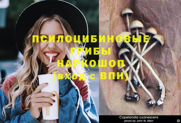 тгк Белокуриха