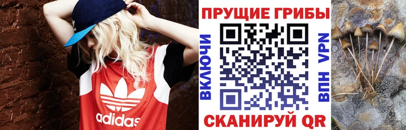 Галлюциногенные грибы мицелий  это формула  Вязники  где купить  